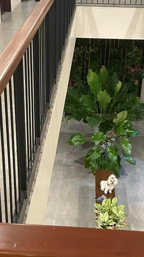 A&E Apartelle Баколод Екстериор снимка